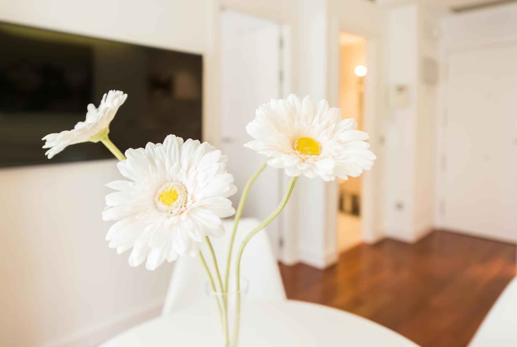 Apartmán Santa Ana Plaza Madrid Pokoj fotografie